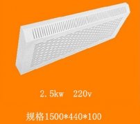 ���µ�ȡů��2.5kw��ɫ