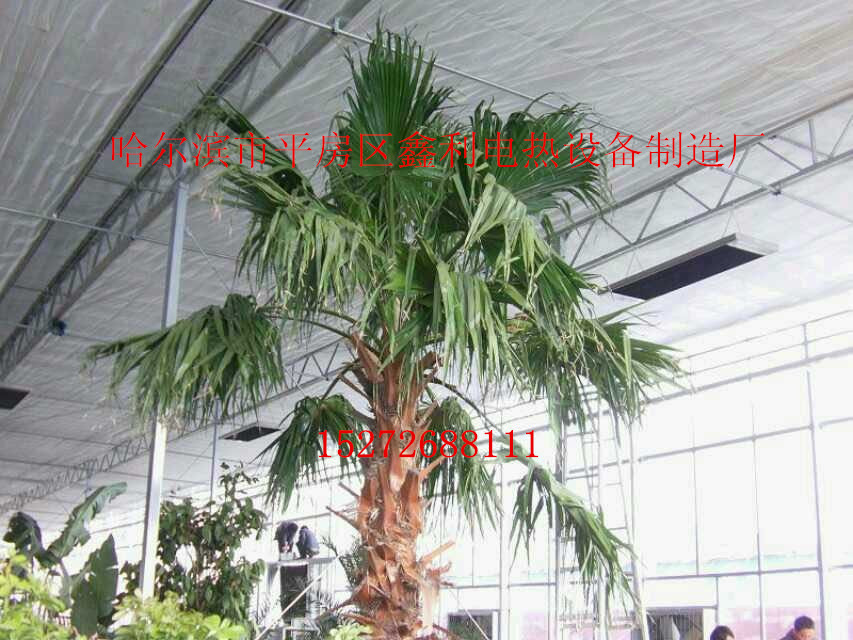 ���ܴ���ȡů5